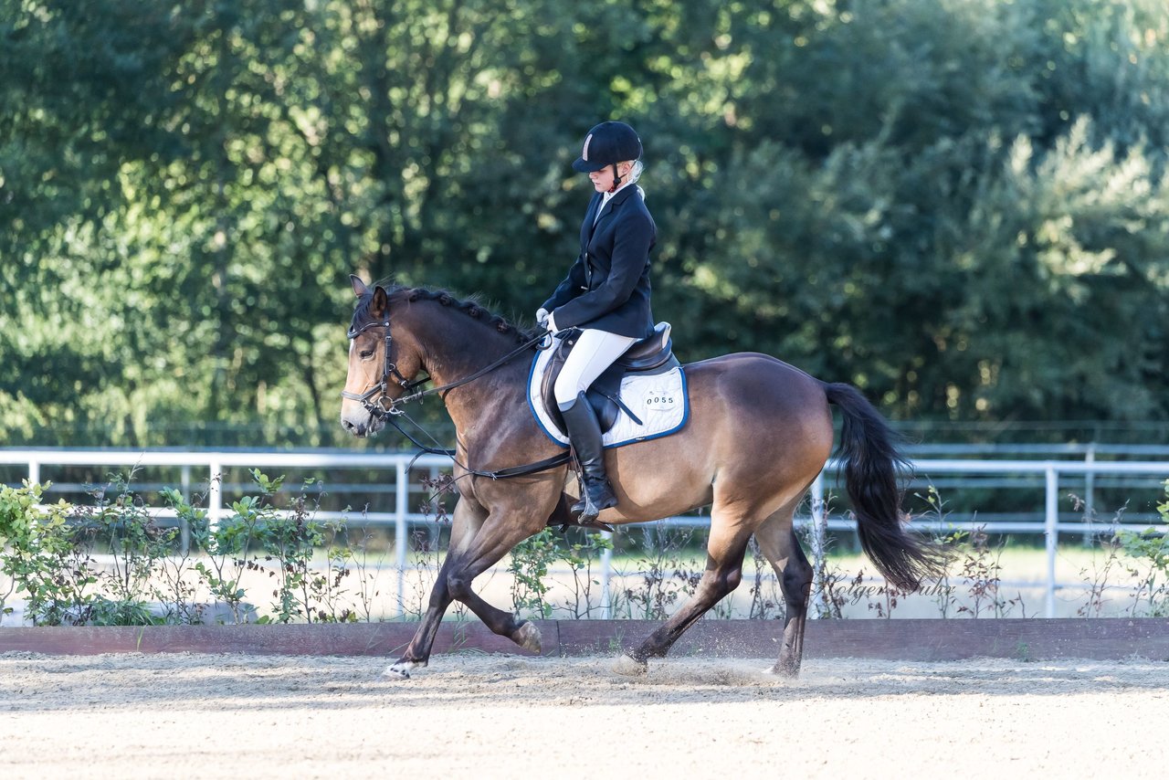 Bild 72 - Pony Akademie Turnier